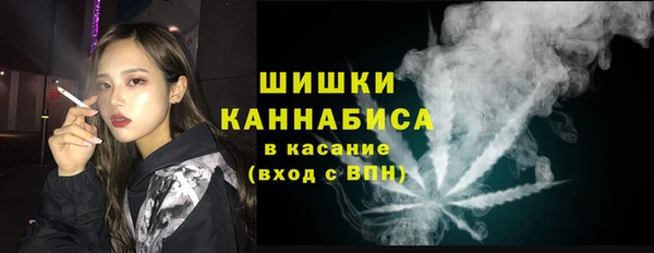 Альфа ПВП Белокуриха