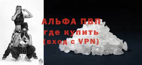 Альфа ПВП Белокуриха
