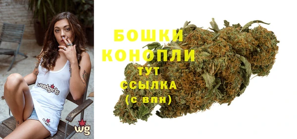 Альфа ПВП Белокуриха
