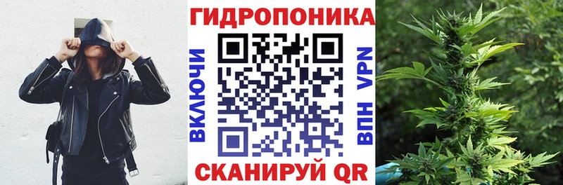 Купить  Завитинск  Канабис OG Kush 